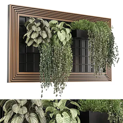 indoor hanging Plants Collection 1517
