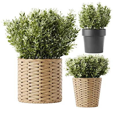 ИКЕА Тимьян Искуственный в Плетеном Горшке / IKEA FEJKA thyme