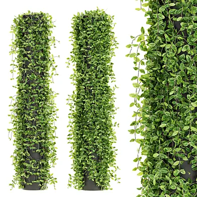 Outdoor Plant Set 021
