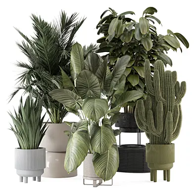 Indoor Plants in Ferm Living Bau Pot Large 2672