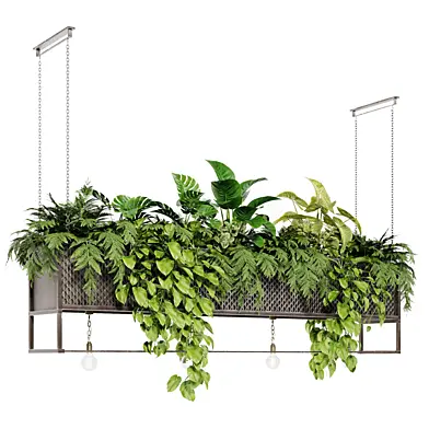 hanging plant 05