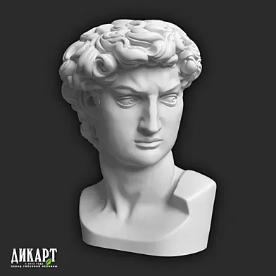 Дикарт Голова Давида 446x313x296mm