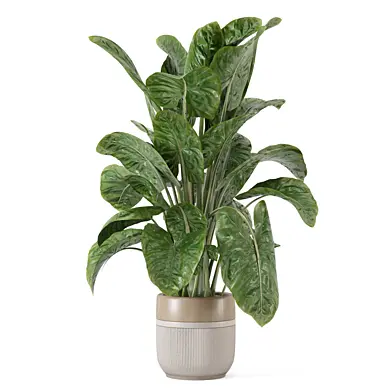Indoor Plants in Ferm Living Bau Pot Large_2688