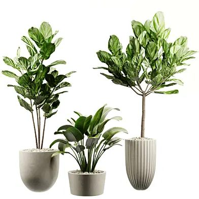 Plants set 09