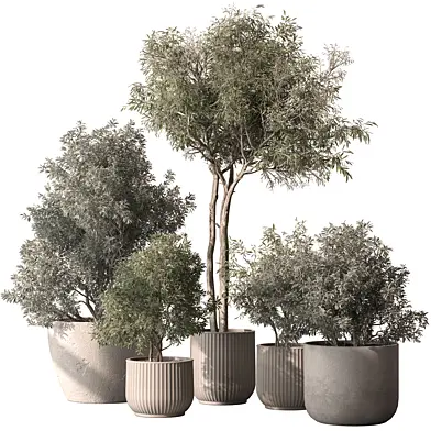 Indoor Plant 846 - Mixed Plants