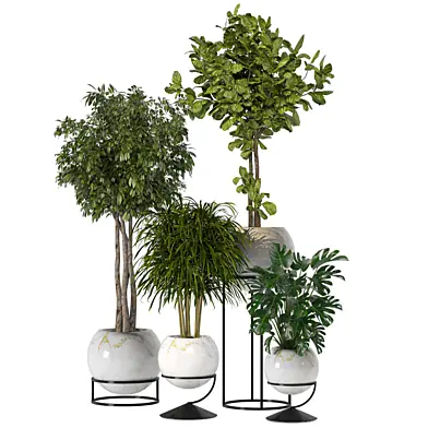 Indoor Plants Collection Set 89