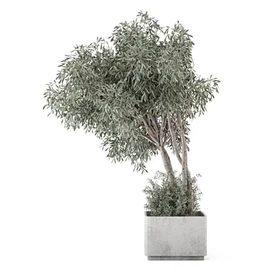 Indoor Plants in Ferm Living Bau Pot Large_Set 2735