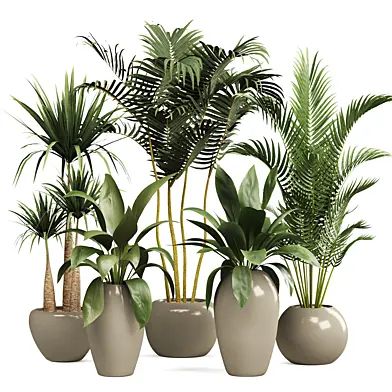 Indoorplants-153