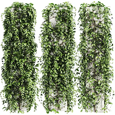 Plants Set 198