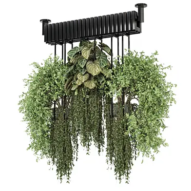 indoor hanging plants in metal box 1612