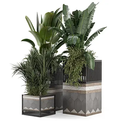 Outdoor Plants in Metal Pots 2774