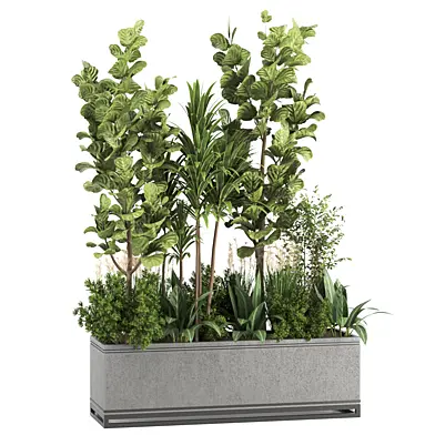 Outdoorplants-plants in Box set36