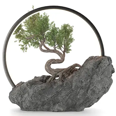 bonsai in rock vase with light