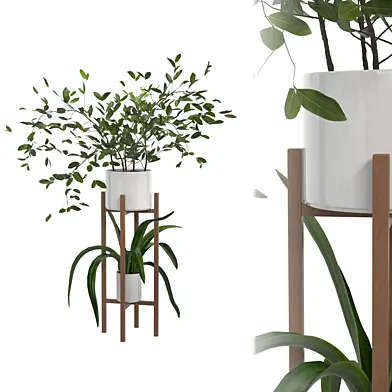 Indoor Plant Set 02