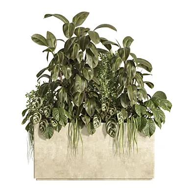 box of plants 06