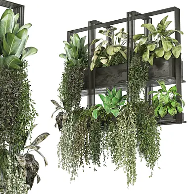 indoor hanging plants in metal box 1645