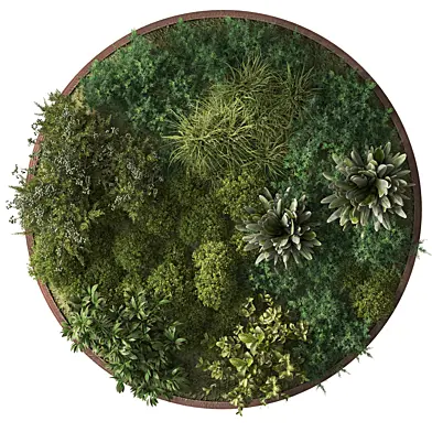 Circle Plant Frame - Fitowall 141