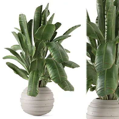 Indoor Plants in Ferm Living Bau Pot Large_Set 2819