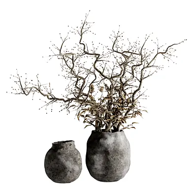 indoor dry bonsai 03