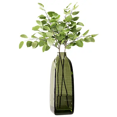Plant 015