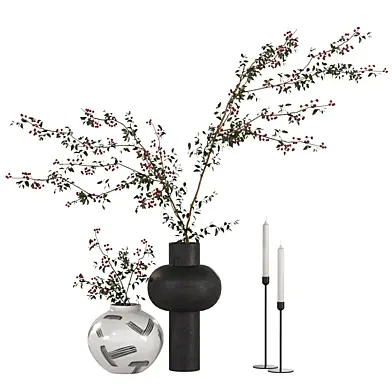 Decorative set with branches and berries
