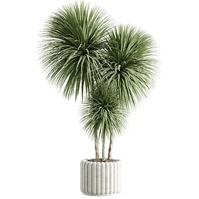 indoor plant Set 128
