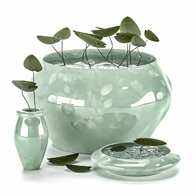 Indoor lotus set 001