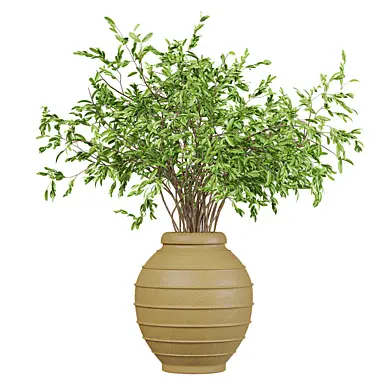 Plants set
