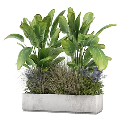 Outdoor Plants Minimal Pot 2856