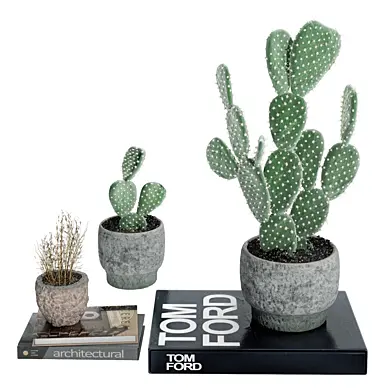 Decorative set 22
