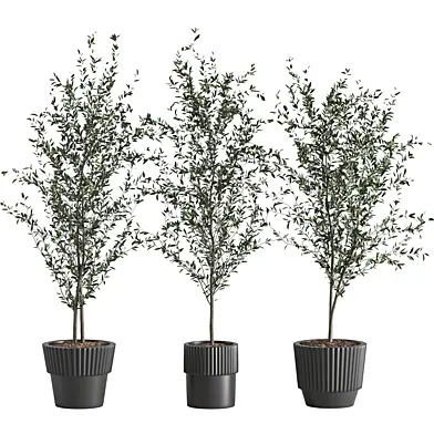 indoor plant model 01