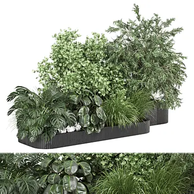 outdoor plants 1697
