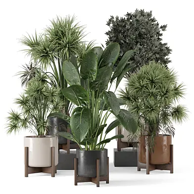 Plants in Combination of Wood & Concrete Pot_Set 2900