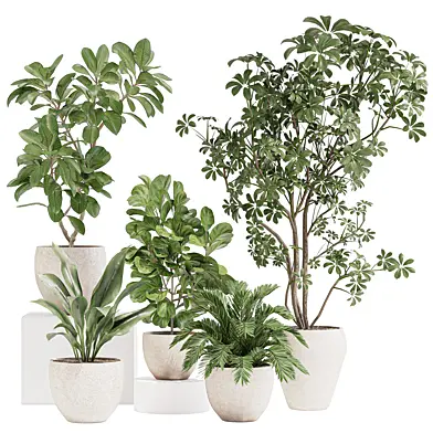 IndoorPlantSet09