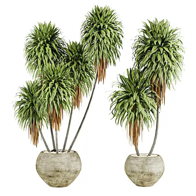 Plants Set 81
