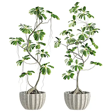 Plants Set 82