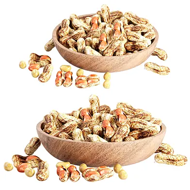 Peanuts