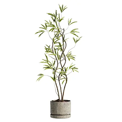 Plants Set 83