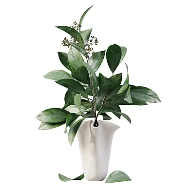 Bouquet Indoor Plants 41