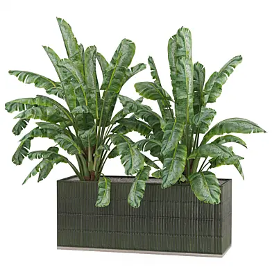 Plants in Glazed Green Tile Pot _Set 2938