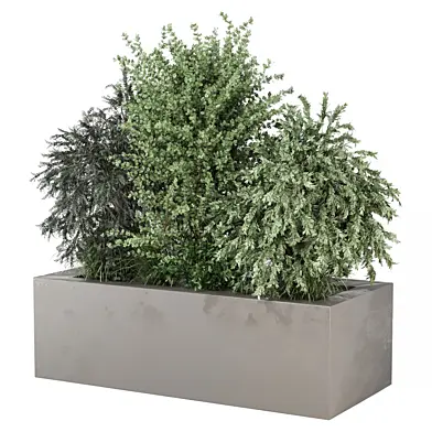 Outdoor garden tree 1730