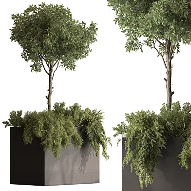 Plant Box - Outdoor Plants 689