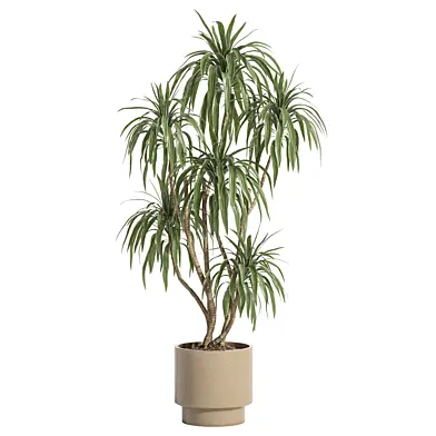 indoor plant 06 stone pot