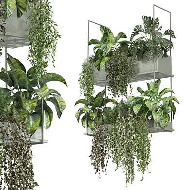 indoor hanging plants collection 1743