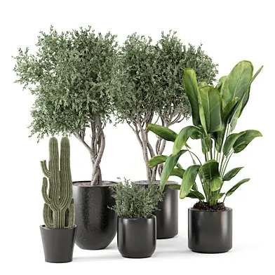 Indoor Plant in Minimal Stone Pot 2970