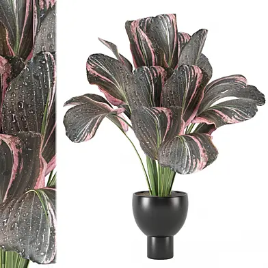 indoor Plants Collection 1744