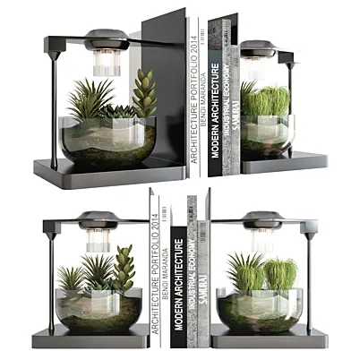 Plants in Digital Vase No6