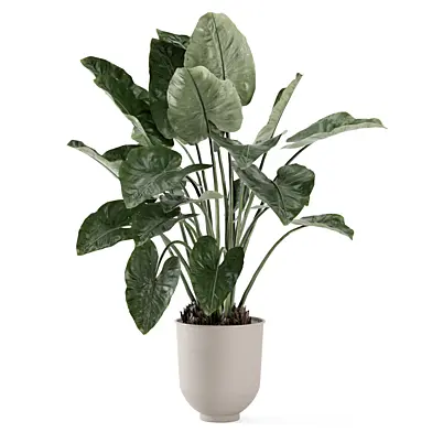 Indoor Plant in Metal Minimal Pot 2985