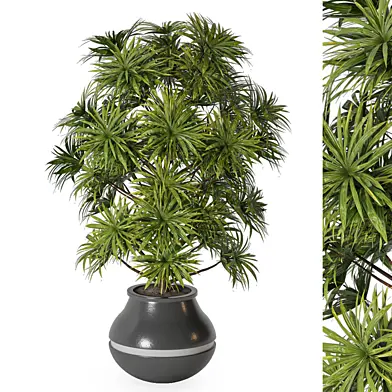 Indoor Plants Set 154