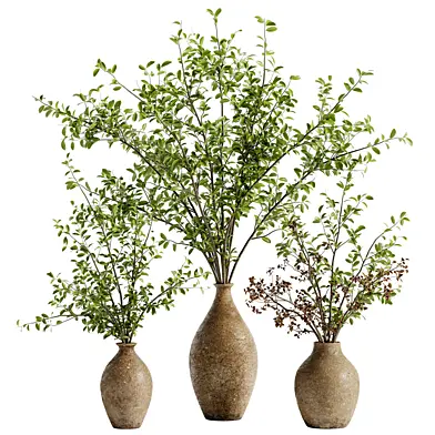 Indoor Bonsai Plants 90